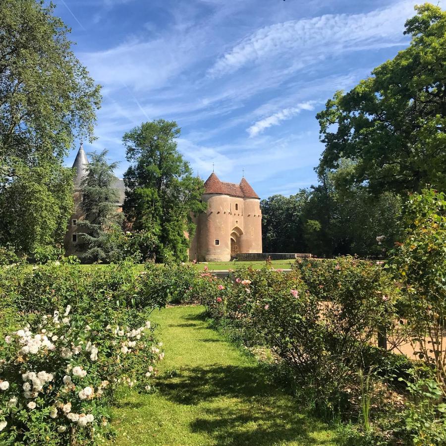 Chateau D'Ainay-Le-Vieil Bagian luar foto